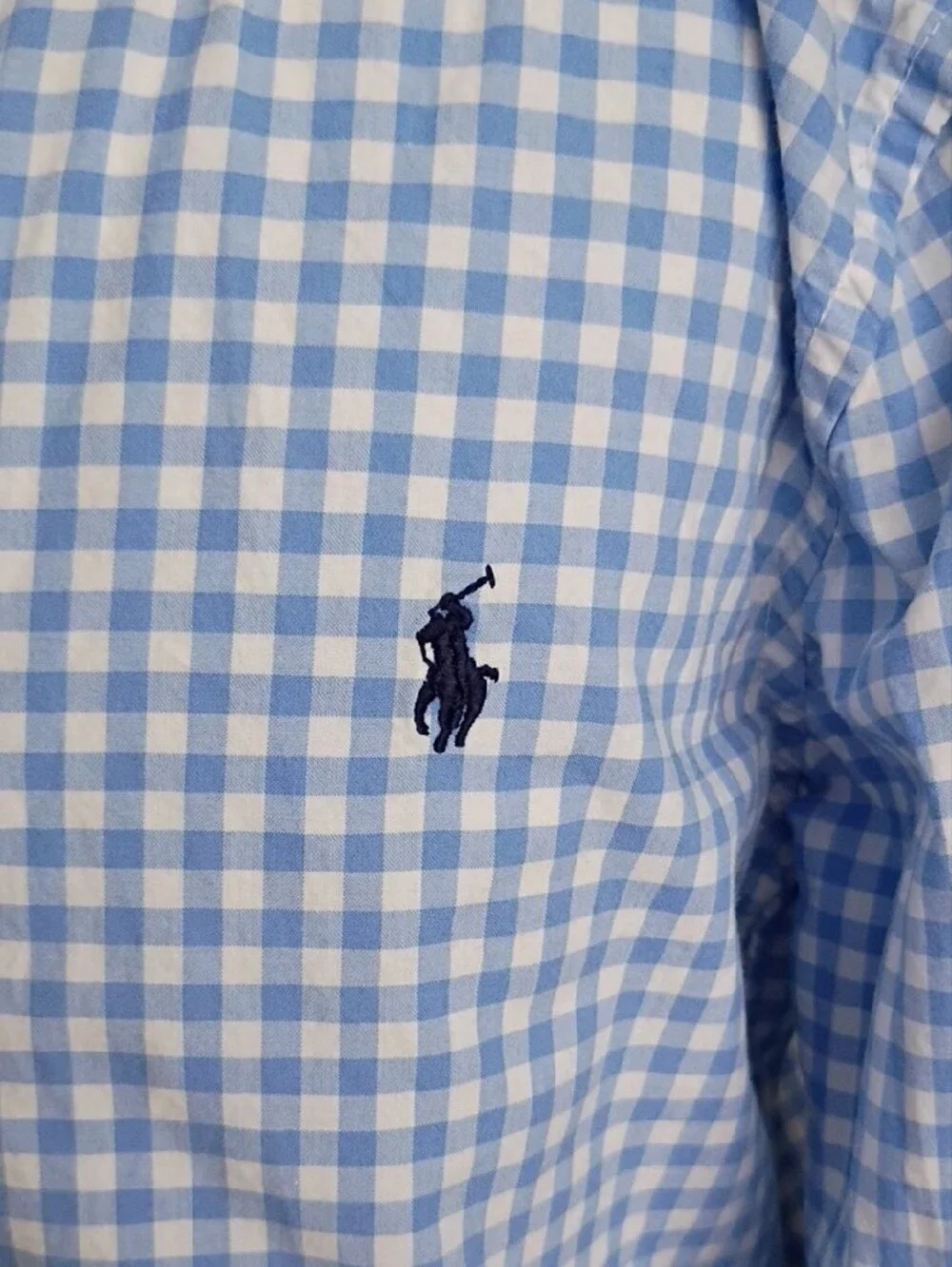 Ralph Lauren Light Blue & White Gingham Button-Down Shirt